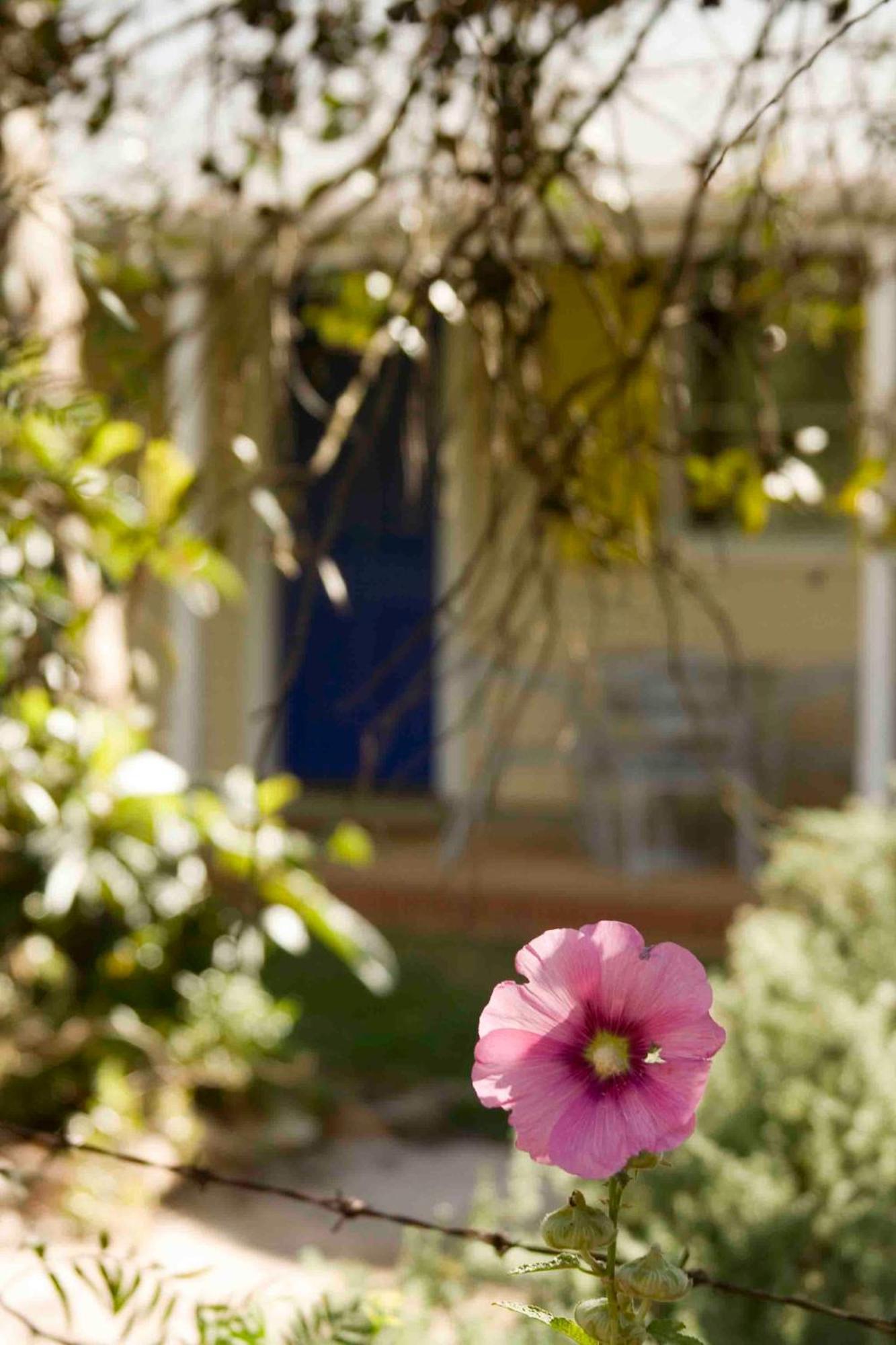 Amy'S House Bed & Breakfast Auburn Εξωτερικό φωτογραφία