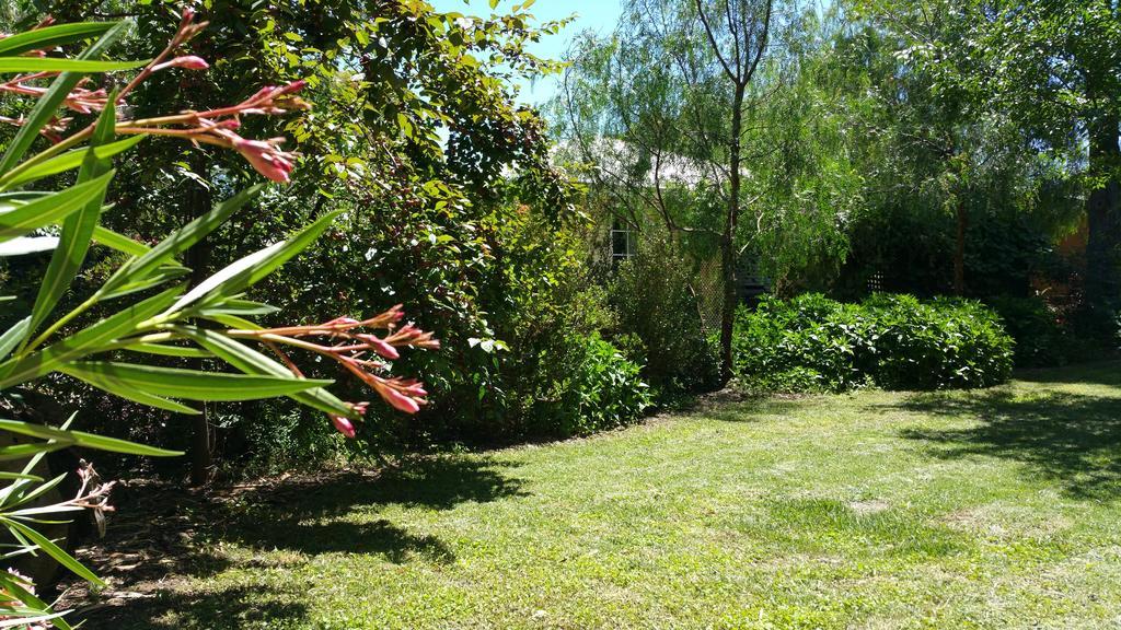 Amy'S House Bed & Breakfast Auburn Εξωτερικό φωτογραφία
