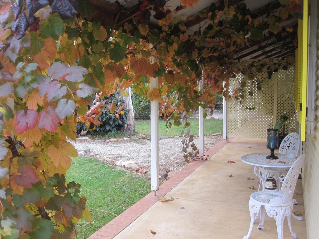 Amy'S House Bed & Breakfast Auburn Εξωτερικό φωτογραφία