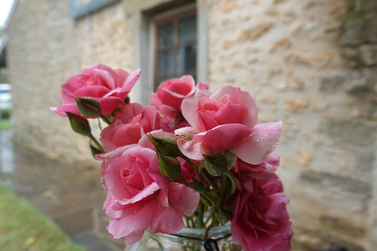 Amy'S House Bed & Breakfast Auburn Εξωτερικό φωτογραφία