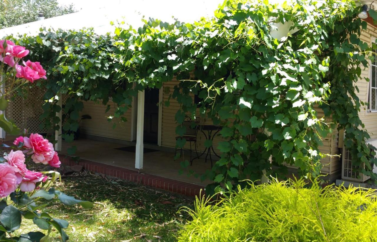Amy'S House Bed & Breakfast Auburn Εξωτερικό φωτογραφία